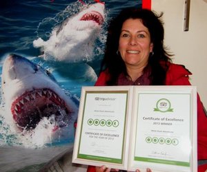  White Shark Adventures se 2de 